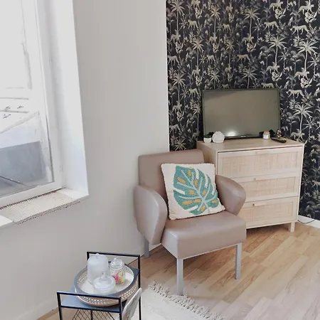 Csm Privées 1 2 Et 1 Avec Terrasse En Cœur De Entre Paris Et Reims 40 Mn Disneyland Paris Séjour chez l'habitant Charly-sur-Marne