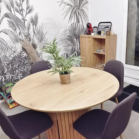 Séjour chez l'habitant Csm Privées 1 2 Et 1 Avec Terrasse En Cœur De Entre Paris Et Reims 40 Mn Disneyland Paris Charly-sur-Marne